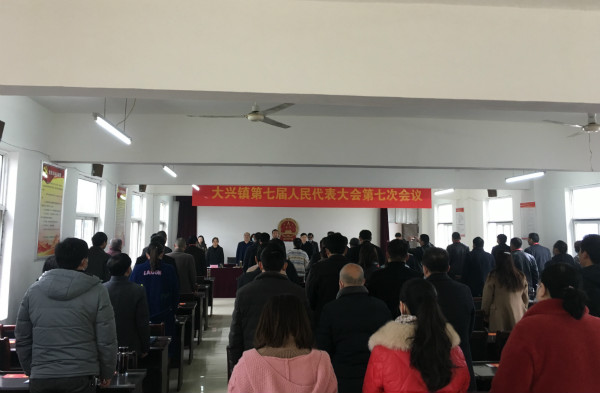 大兴镇召开七届七次人代会_凤台县人民政府