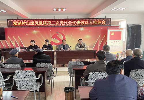 凤凰镇:严把"四道关"扎实做好党代表推选工作_凤台县人民政府