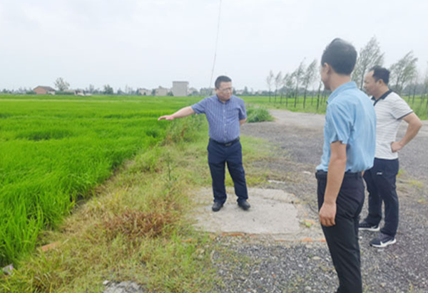 王振率队督导采煤沉陷区治理及防汛防台风工作_凤台县人民政府