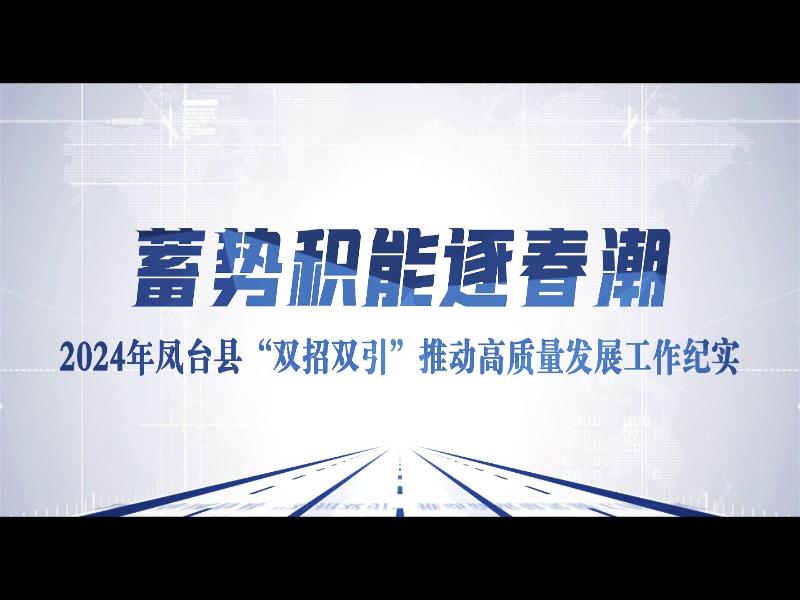 蓄势积能逐春潮——2024年凤台县“双招双引”推动高质量发展工作纪实