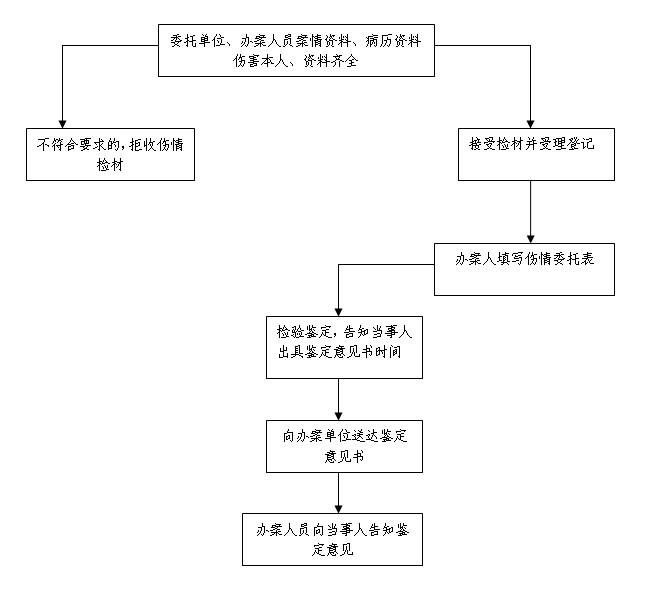 320痕迹、伤情鉴定流程图.jpg
