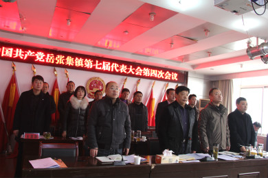 岳张集镇七届四次党代会召开