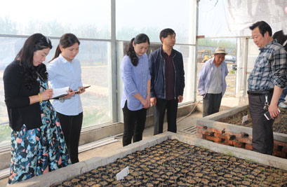 李萍调研农业科技创新工作_凤台县人民政府
