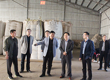 李勇率队视察全县民生工程实施情况_凤台县人民政府