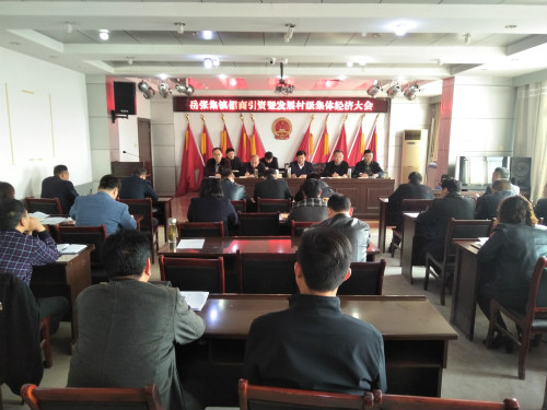 岳张集镇召开招商引资暨发展村集体经济大会