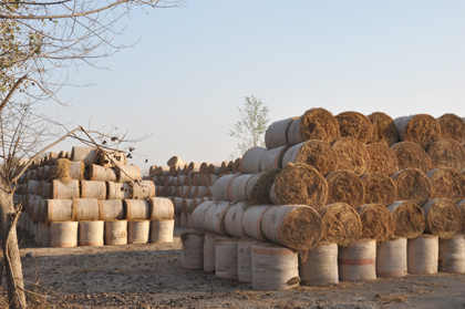 尚塘镇秸秆打捆助禁烧